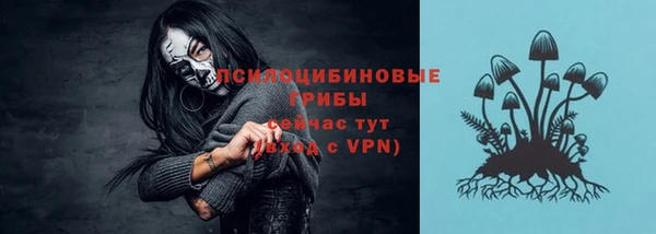Альфа ПВП Богородицк