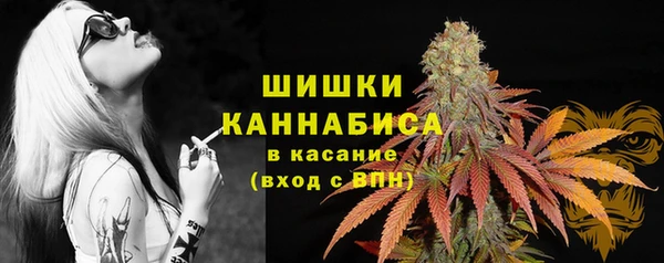 Альфа ПВП Богородицк