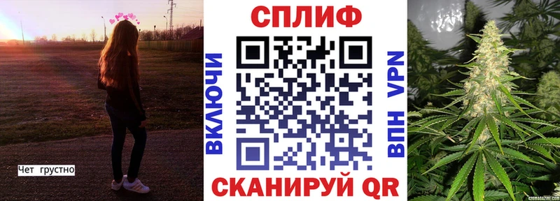 купить наркотики цена  blacksprut зеркало  Конопля сатива  Тулун 